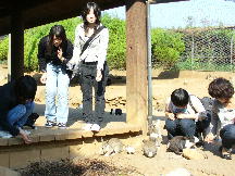 ã†ã•ãŽã‚‚ã„るよ