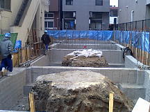 æ–°æ ¡èˆŽï¼‘