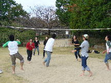 ãƒãƒ¬ãƒ¼ãƒœãƒ¼ãƒ«